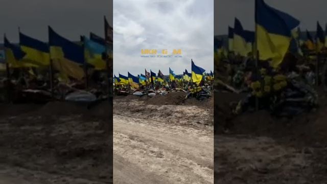 Такая картина сейчас по всей украине