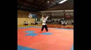 Hapkido Formas con armas Luis Pacheco (Venezuela )