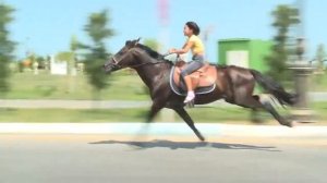 9 летняя девочка из Азербайджана красиво катается на лошади !!!