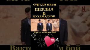 Суруди Нави ШЕРДИЛ В МУХАМАДЧОН  вакти мешам бой