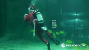Подводный новогодний перформанс в "Москвариуме" на ВДНХ