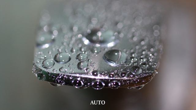 Макросъёмка на Canon EF 50mm f/2.5 Compact Macro смотреть онлайн