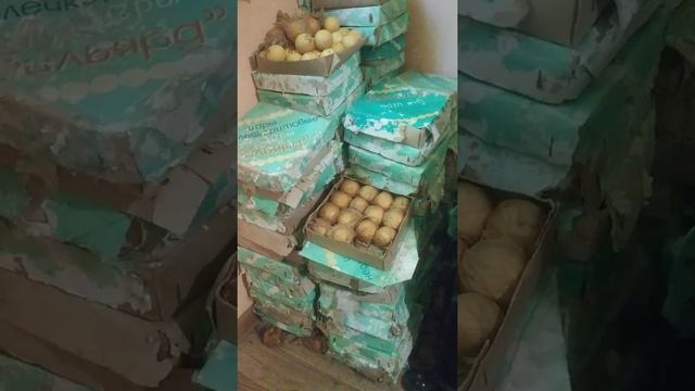 Бильярдные шары СССР(неолейкорит) смотреть онлайн