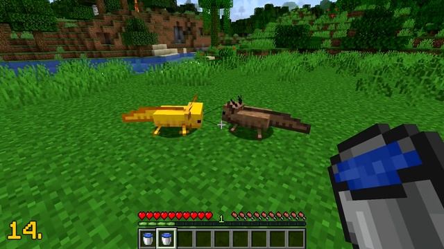 30 Things You Didn't Know About Axolotls in Minecraft смотреть онлайн