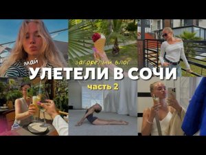 85. СОЧИ 2 ЧАСТЬ |  Возвращение домой, новый комод и мудрые разговоры