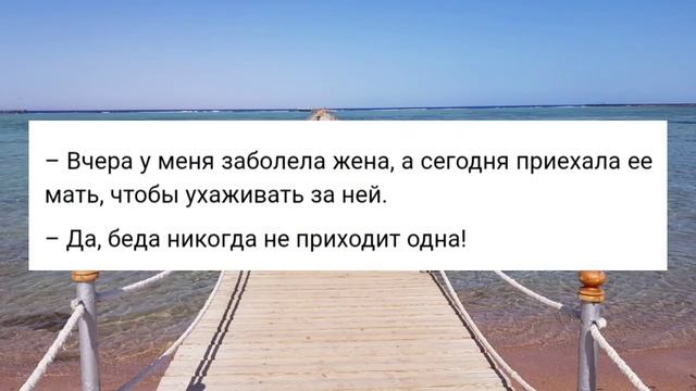 АНЕКДОТЫ ПРО ТЕЩУ! ? Отборные ? анекдоты для хорошего настроения!