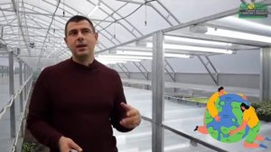 Как сделать правильно отопление в теплице на зимнее время