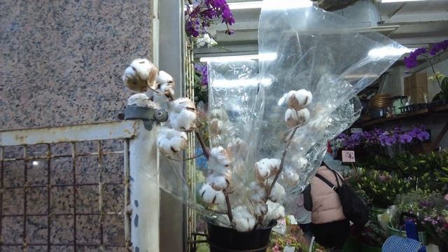 Улица с живой курицей и крытый рынок Ванчай - Гонконг 4K