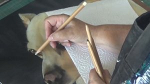 Sealing a pastel drawing on Pastelmat Paper