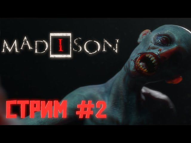 MADiSON ▶ ОБСЕРАТУШКИ В ПРЯМОМ ЭФИРЕ ▶ СТРИМ #2