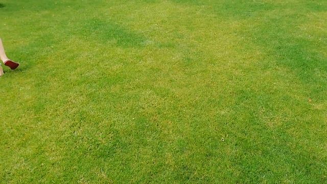 Разбрасыватели-сеялки Gardena в магазинах 