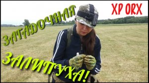 Коп 2019. Монеты 1664 года