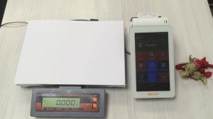 Эвотор - Драйвер весов