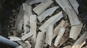 Виноград. Подготовка места для посадки саженцев.