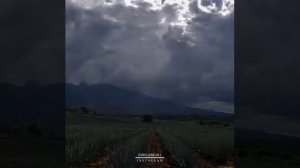 Чтение корана идрис абкар