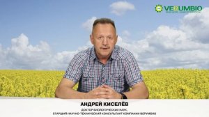 Как повысить яйценоскость птицы?