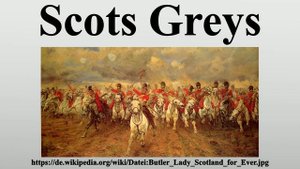 Scots Greys