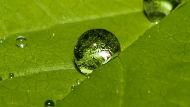 КАРЛИК НОС fairytales сказки