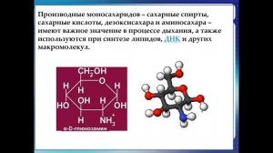 Биологическая роль углеводов