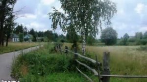 ПРИ ДОЛИНЕ КУСТ КАЛИНЫ АВФ