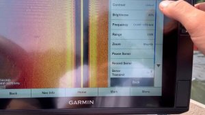 Best Gt56 Settings for Sidevu/ Side Imaging