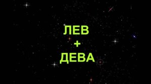 ДЕВА+ЛЕВ - Совместимость - Астротиполог Дмитрий Шимко