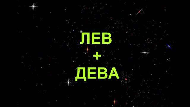 Левый плюс. Дева плюс Лев. Знаки зодиака Лев и Дева. Мужчина Дева и женщина Лев. Знаки зодиака Дева+Лев Лев и Дева.