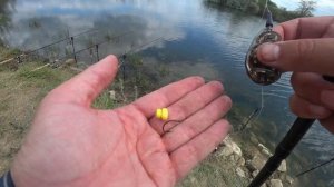 КАРПФИШИНГ 2020! Ловля карпа на флэт фидер!