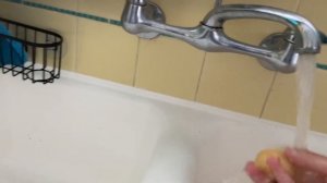 Готовлю брокколи суп для моей морской свинки