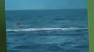 Кит съел человека.  Реальные съемки