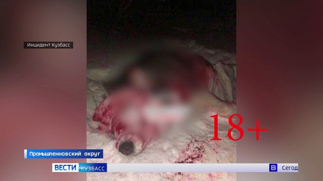 Полиция организовала проверку по факту сообщения СМИ о жестоком обращении с животными. смотреть онлайн