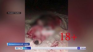 Полиция организовала проверку по факту сообщения СМИ о жестоком обращении с животными.