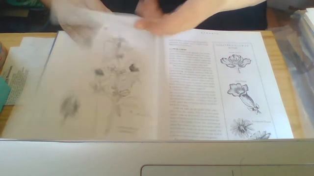 Haul #2 PLUS WFS What's for Sale смотреть онлайн