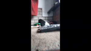 как поменять задние тяги схождения w212