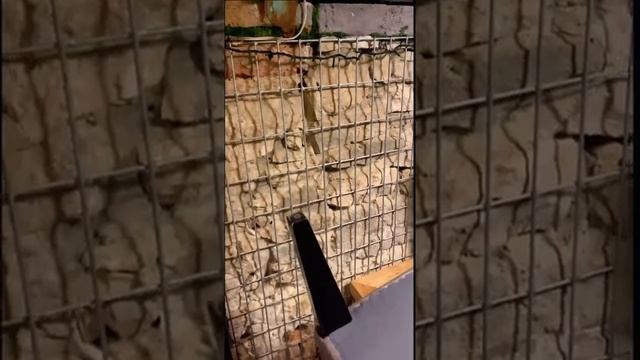 Фундамент обязательно ли армировать смотреть онлайн