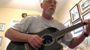 IMG 0840 Ovation Celebrity nylon strings