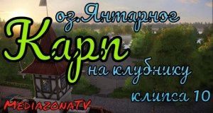 #рр4 оз.Янтарное Карп на клубнику 21.08
