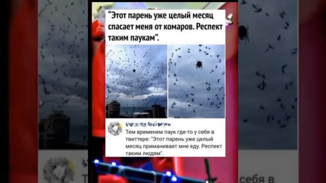 МЕМ ИЗ ТИК ТОКА