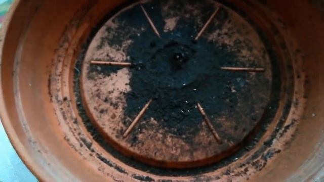 Что это завелось в горшке и как от этого избавиться? смотреть онлайн