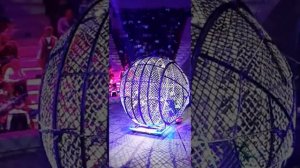 Тульский цирк, новое новогоднее представление.