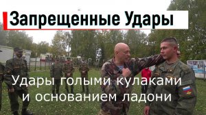 Вадим Старов Боевой раздел Самбо для военной разведки. Смертельные удары и болевые приемы