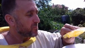 Колода 2016. Часть вторая _ Отбор мёда.