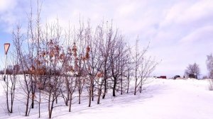 31 января- АФАНАСЬЕВ день.Приметы