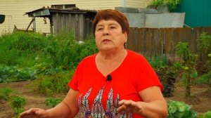 Благовещенка раскрыла секреты выращивания арбузов в амурском климате