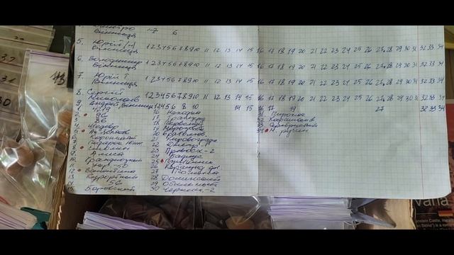 Фундук/Украина. Очередная отправка образцов орехов 34-х сортов фундука. смотреть онлайн