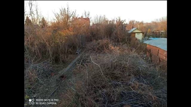 Превращаем дачу из заросших джунглей в обитаемое место! Мой новый блог про дачную жизнь! смотреть онлайн