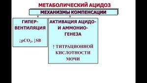 Лекция 15.
Все факультеты.
Кислотно щелочное состояние.