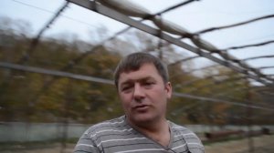 Сколько денег мы заработали на огурцах в теплице летом 2019?