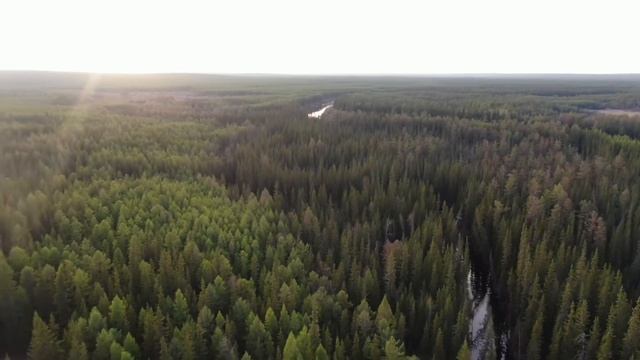 ВЫЖИВШАЯ В ЯКУТСКОЙ ТАЙГЕ смотреть онлайн