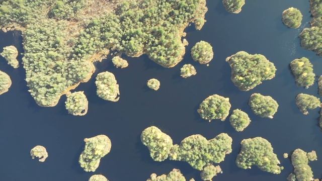 Самый загадочный водоём Нижнего Тагила. Озеро Бездонное (Исинское) | Ураловед